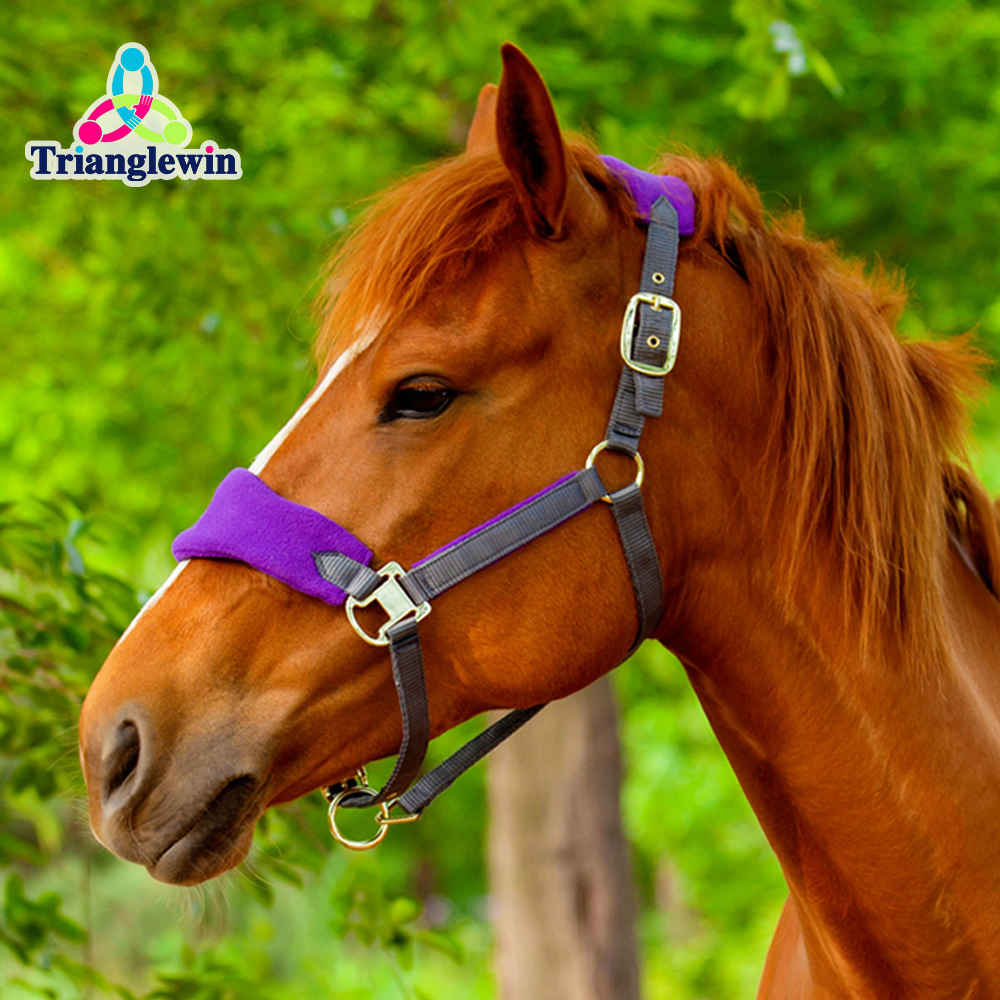 Horse Equipment Equestrian Headcollars /  Custom Horse Riding Halter /  Horse Harness Eequestrian Headcollar