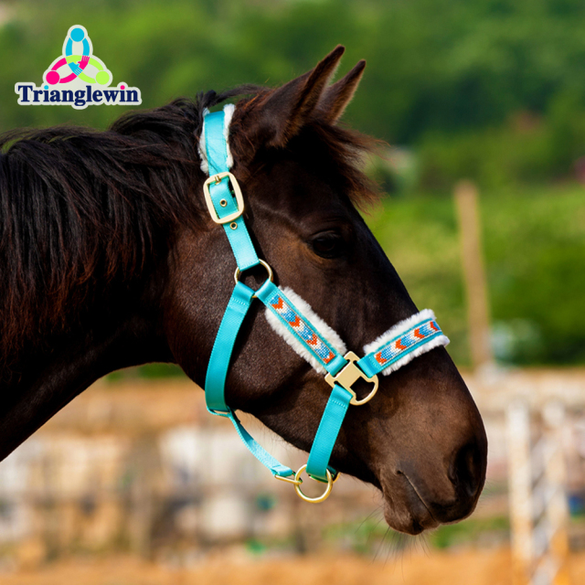 Horse Headcollars &  Personalized Halters For Horses Equine Sports