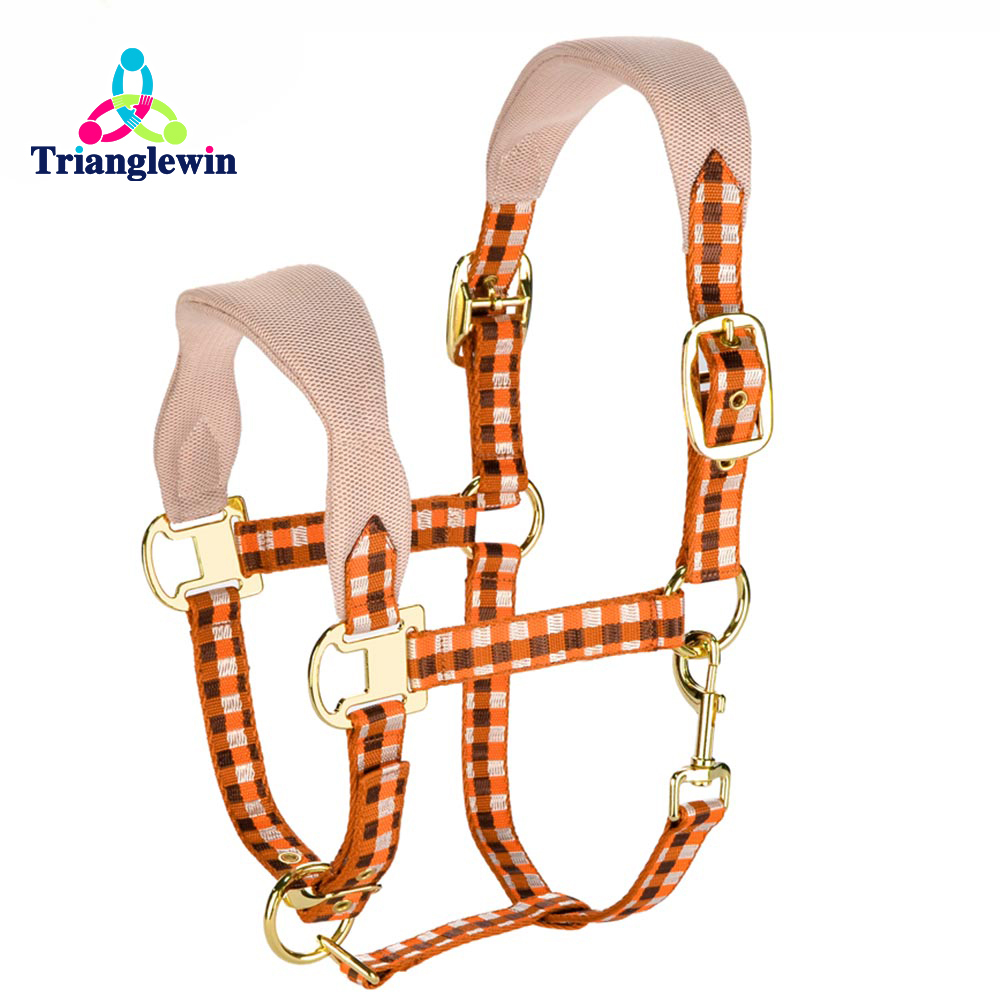 Custom Horse Halters  Personalized Horse Halters  Equestrian Supplies