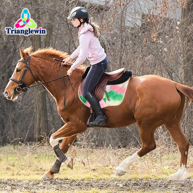Equine English Saddle pad / Custom Horse Saddle pads / Horse Equipment