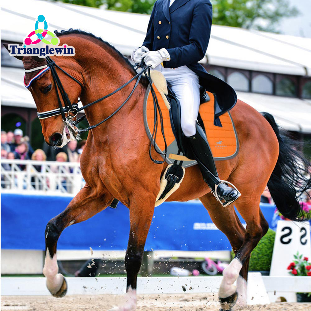 Professional Manufacturer Customized Horse Riding Products Equestrian Saddle pads Equine Supplies