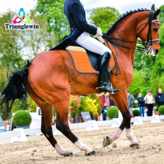 Professional Manufacturer Customized Horse Riding Products Equestrian Saddle pads Equine Supplies