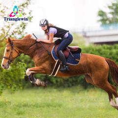 Trianglewin Saddlery & First Choice for Equine Sports / High Quality Equestrian Equipment and clothing / Equestrian Supplies & Factory