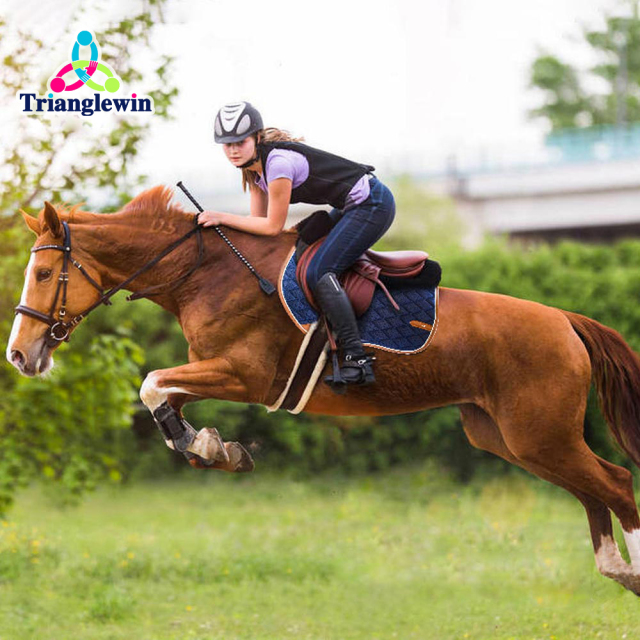 Trianglewin Saddlery & First Choice for Equine Sports / High Quality Equestrian Equipment and clothing / Equestrian Supplies & Factory