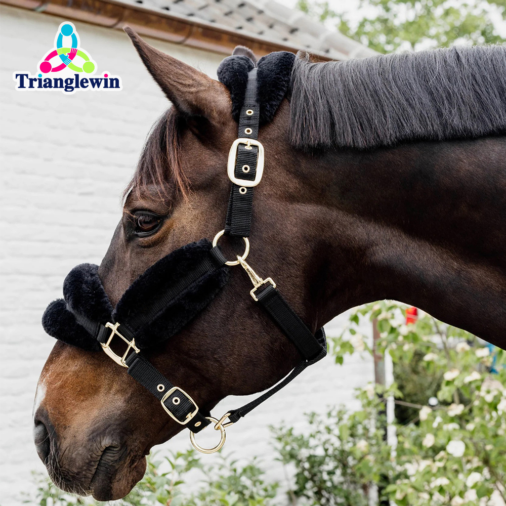 Horse Head Wear Personalized Halters For Horses Outdoor Sports Equestrian Equipment