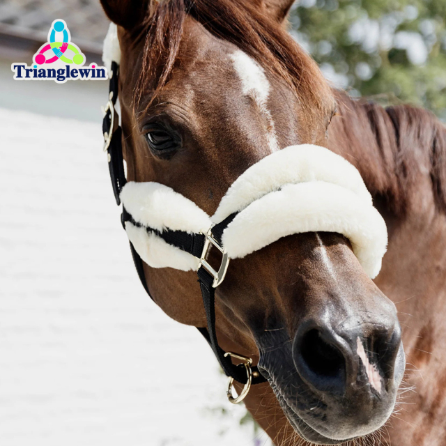 Horse Head Wear Personalized Halters For Horses Outdoor Sports Equestrian Equipment