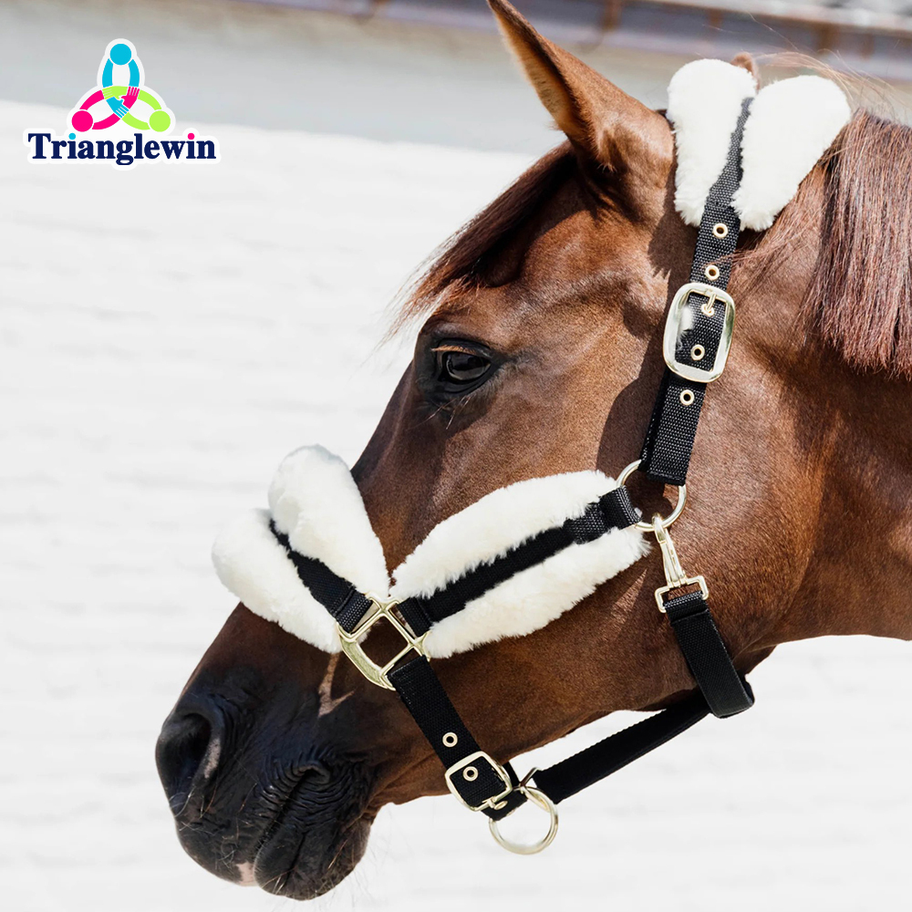Horse Head Wear Personalized Halters For Horses Outdoor Sports Equestrian Equipment