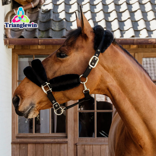 Horse Head Wear Personalized Halters For Horses Outdoor Sports Equestrian Equipment