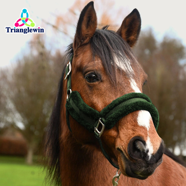 High-Quality Horse Halters for Brands | Bulk Discounts | OEM Support