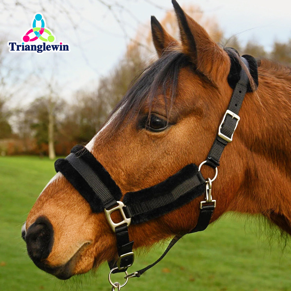 High-Quality Horse Halters for Brands | Bulk Discounts | OEM Support