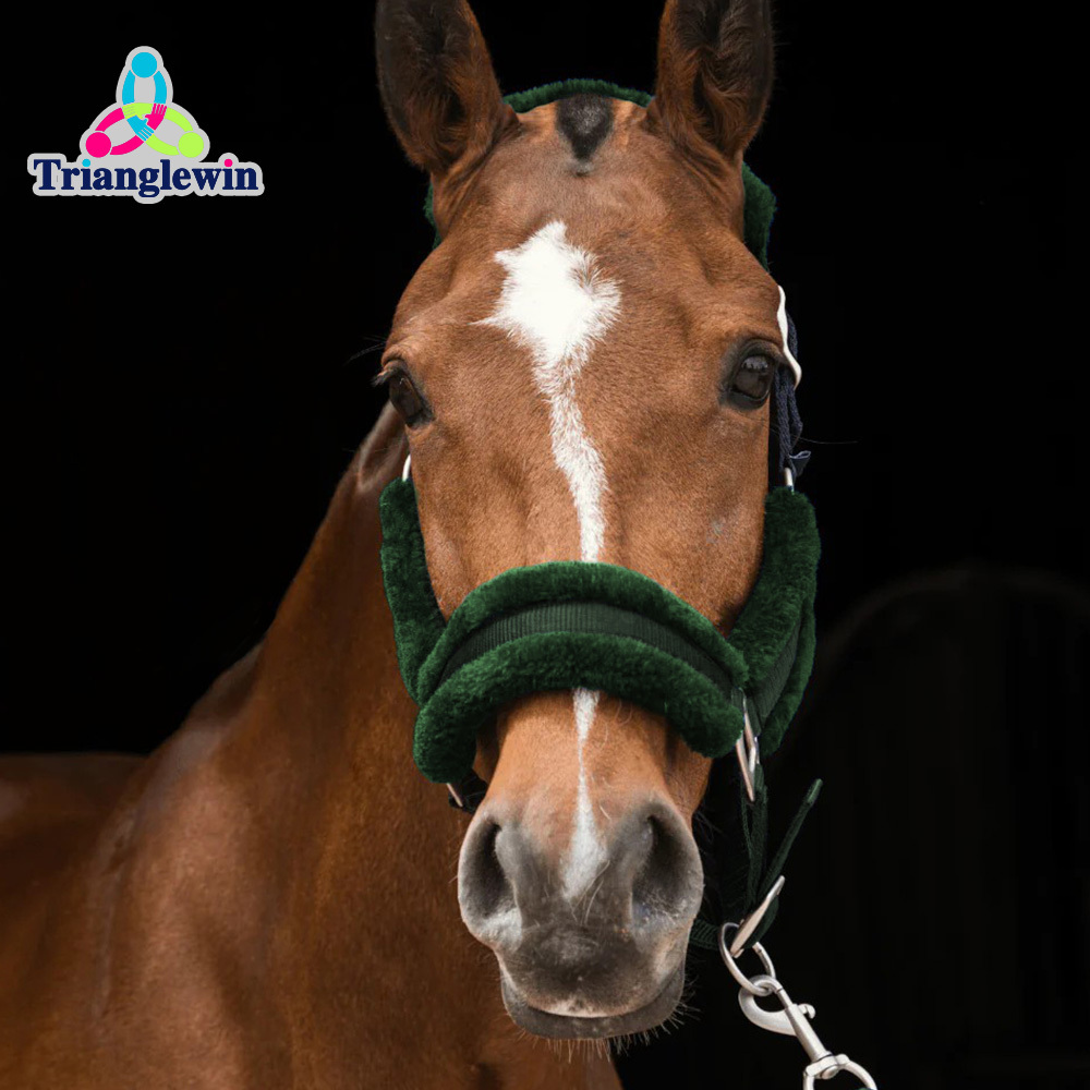 High-Quality Horse Halters for Brands | Bulk Discounts | OEM Support