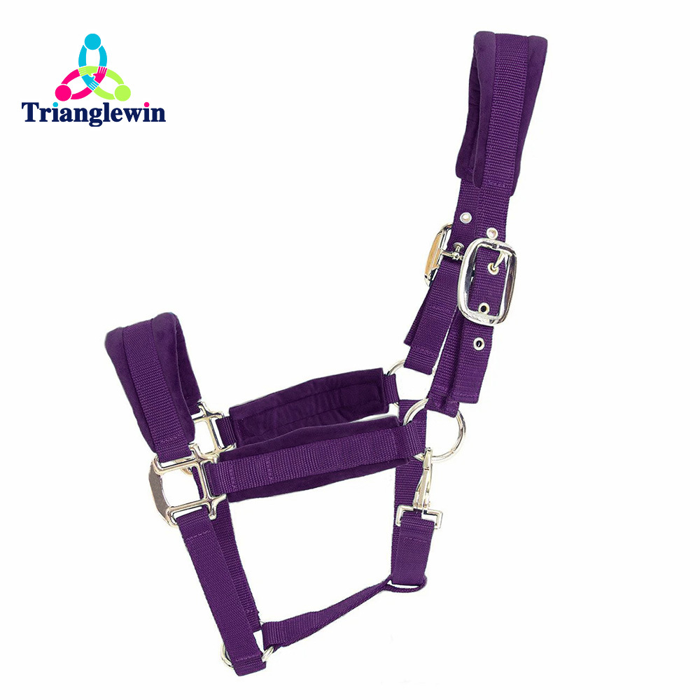 Headcollars For Horses Wholesale Customize Horse Halters Custom Equestrian Equipment