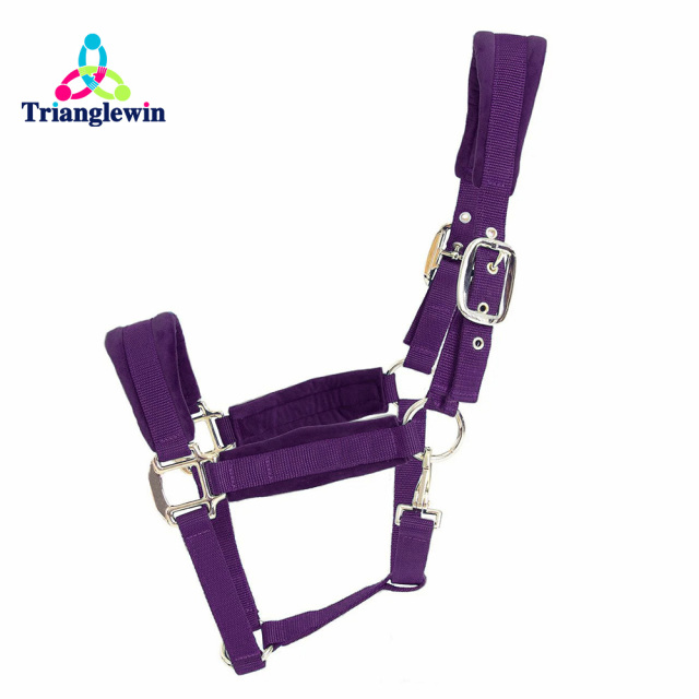 Headcollars For Horses Wholesale Customize Horse Halters Custom Equestrian Equipment