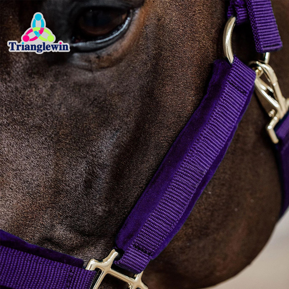 Headcollars For Horses Wholesale Customize Horse Halters Custom Equestrian Equipment