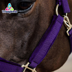 Headcollars For Horses Wholesale Customize Horse Halters Custom Equestrian Equipment