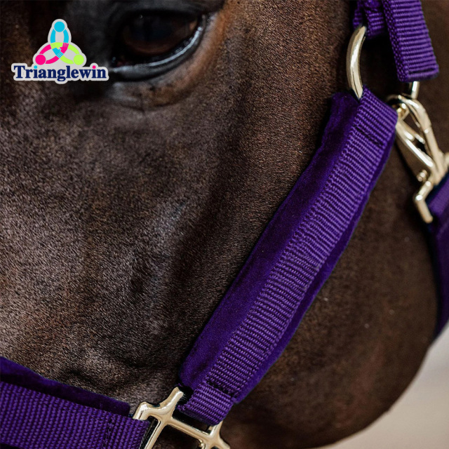 Headcollars For Horses Wholesale Customize Horse Halters Custom Equestrian Equipment
