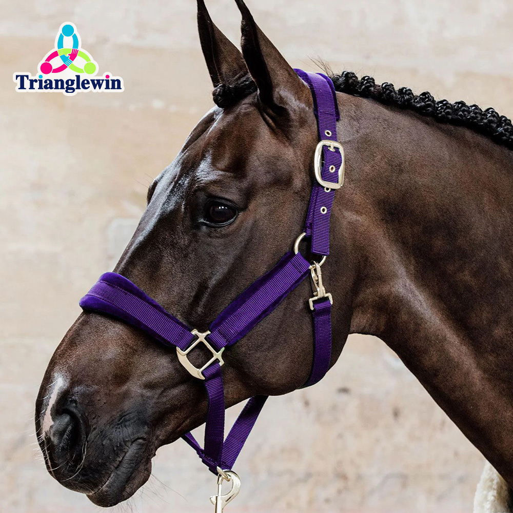 Headcollars For Horses Wholesale Customize Horse Halters Custom Equestrian Equipment