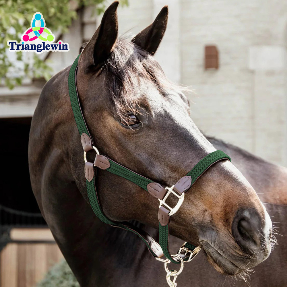 New Fashion Equestrian Sports Lead Head collar Nylon Horse Halters