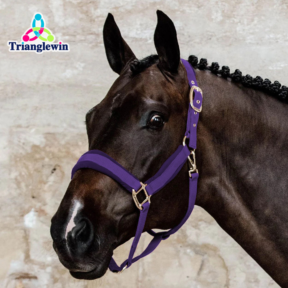 Headcollars For Horses Wholesale Customize Horse Halters Custom Equestrian Equipment