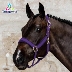 Headcollars For Horses Wholesale Customize Horse Halters Custom Equestrian Equipment
