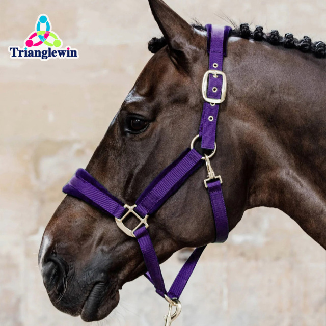 Headcollars For Horses Wholesale Customize Horse Halters Custom Equestrian Equipment