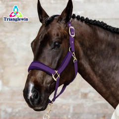 Headcollars For Horses Wholesale Customize Horse Halters Custom Equestrian Equipment