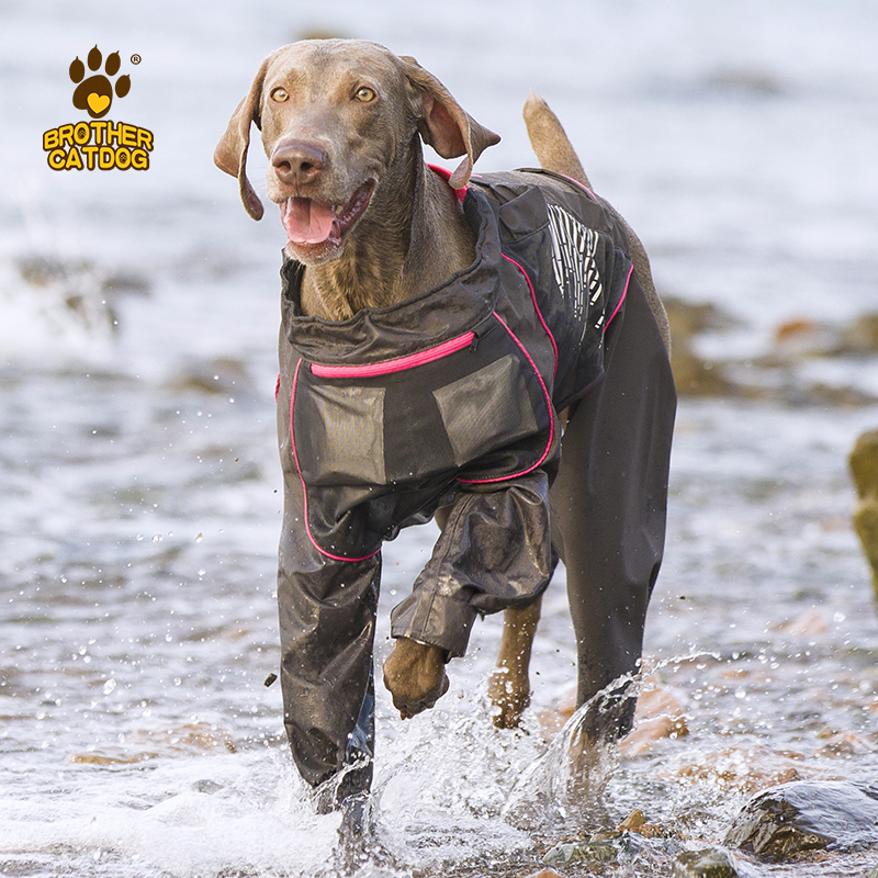 Custom logo wholesale Eco friendly dog cooling clothes with ice packs Dog cooling vest