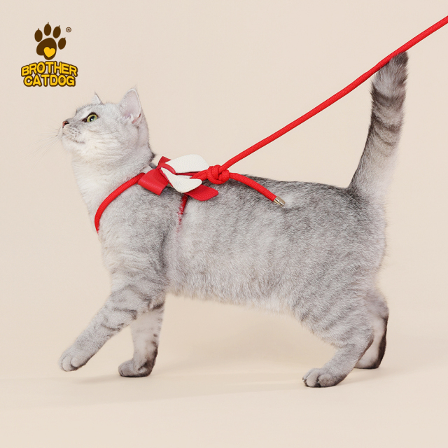 Brother Cat Dog Escape-Proof Cat Harness | Adjustable Leather Vest Harness for Walking | Secure Fit