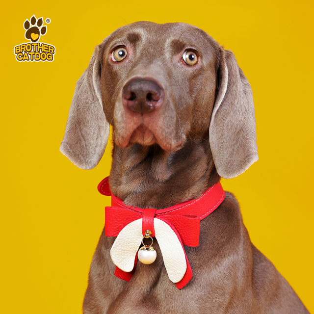 Cowhide  Dog Collars - Personalized Dog Collars Wholesale