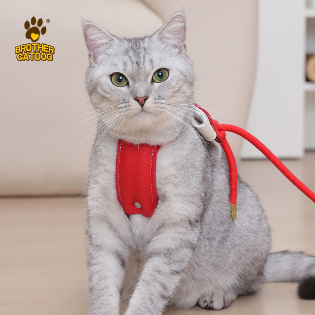 Brother Cat Dog Escape-Proof Cat Harness | Adjustable Leather Vest Harness for Walking | Secure Fit