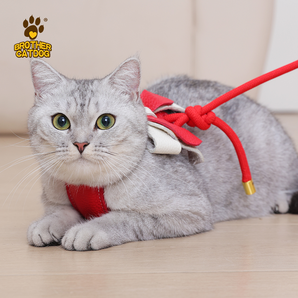 Brother Cat Dog Escape-Proof Cat Harness | Adjustable Leather Vest Harness for Walking | Secure Fit