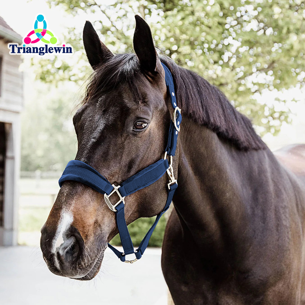 Custom Nylon Horse Halters -Headcollars For Horses Wholesale
