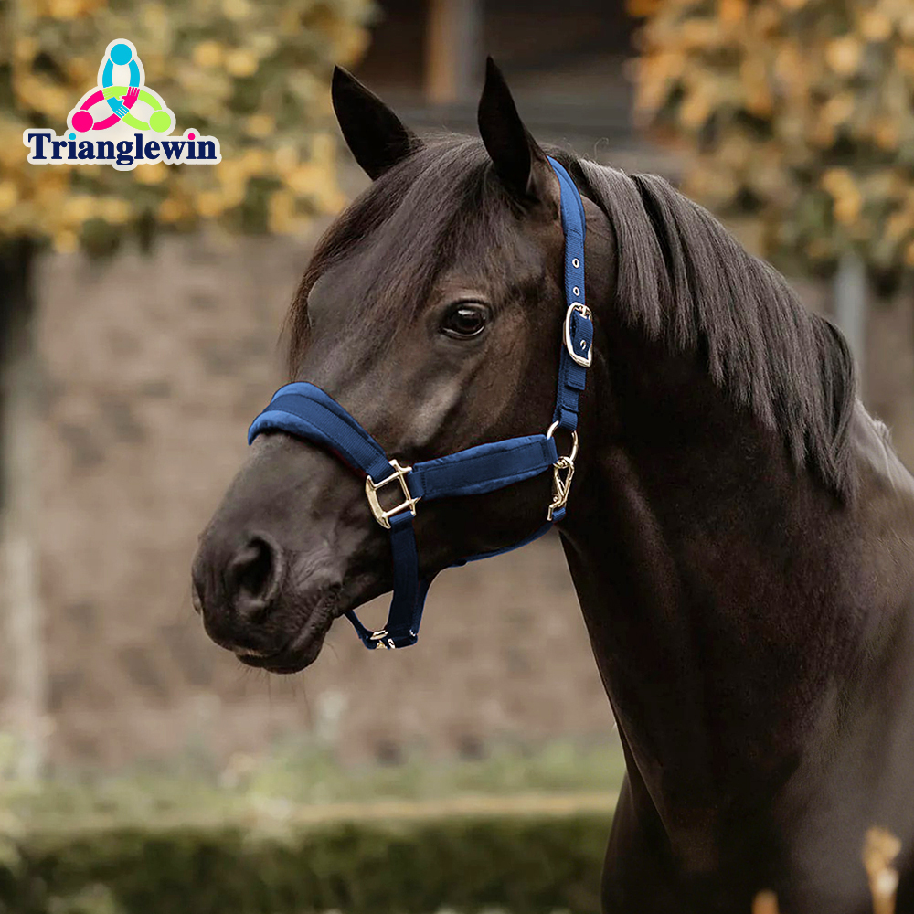 Custom Nylon Horse Halters -Headcollars For Horses Wholesale