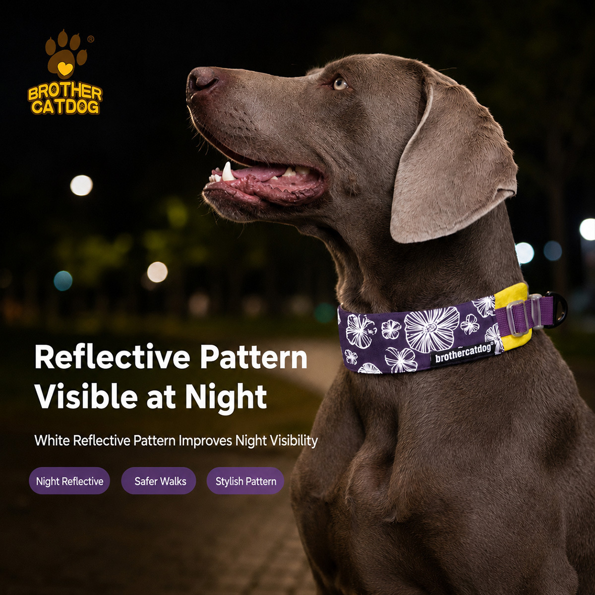 Pet Supplies / Dog collars & Harnesses & Leashes