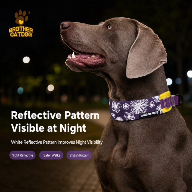 Pet Supplies / Dog collars & Harnesses & Leashes