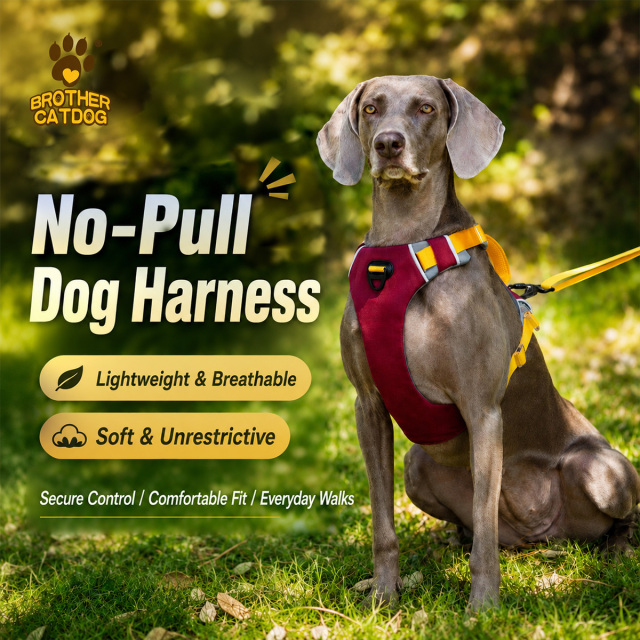 Personalized Dog Harness / Dog Outwear / Wholesale Pet Supplies