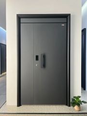 Entrance doors