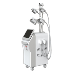 5Handle Cryolipolysis Slimming Machine