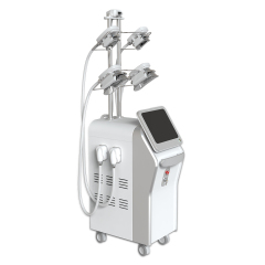 5Handle Cryolipolysis Slimming Machine