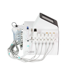 8 in 1 Skin Care Facial Machine