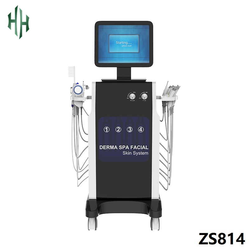 16 in 1 Spa Face Care Multi-functional Hydradermabrasion RF Beauty Equipment