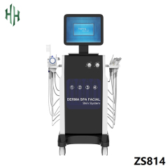 16 in 1 Spa Face Care Multi-functional Hydradermabrasion RF Beauty Equipment