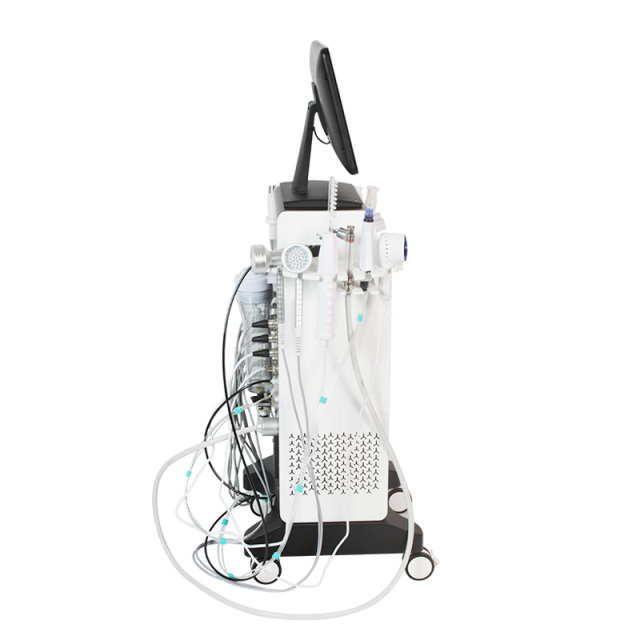 16 in 1 Spa Face Care Multi-functional Hydradermabrasion RF Beauty Equipment