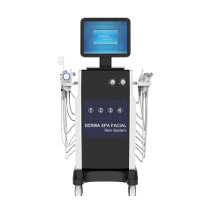 16 in 1 Spa Face Care Multi-functional Hydradermabrasion RF Beauty Equipment