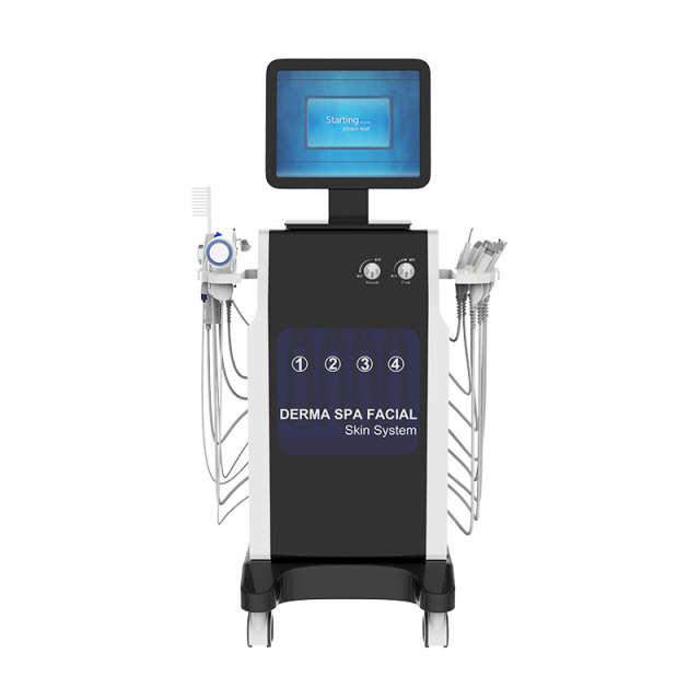 16 in 1 Spa Face Care Multi-functional Hydradermabrasion RF Beauty Equipment