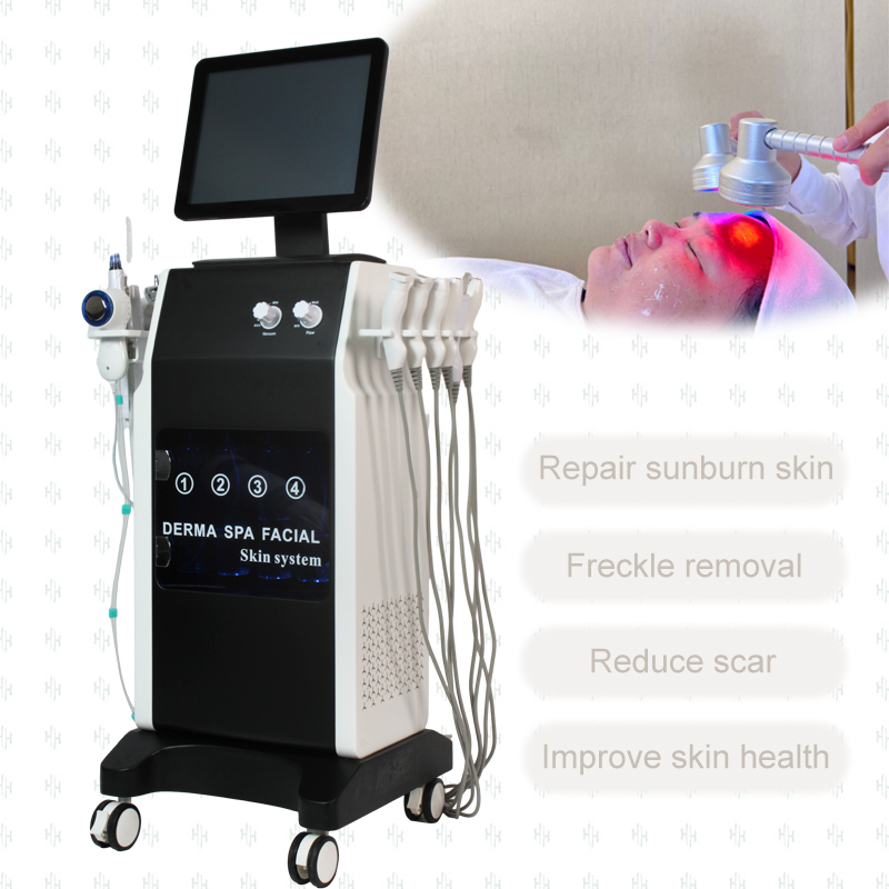 16 in 1 Spa Face Care Multi-functional Hydradermabrasion RF Beauty Equipment