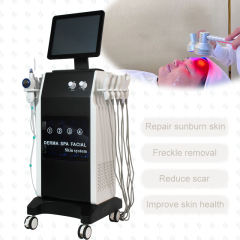 16 in 1 Spa Face Care Multi-functional Hydradermabrasion RF Beauty Equipment