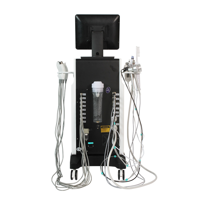 16 in 1 Spa Face Care Multi-functional Hydradermabrasion RF Beauty Equipment