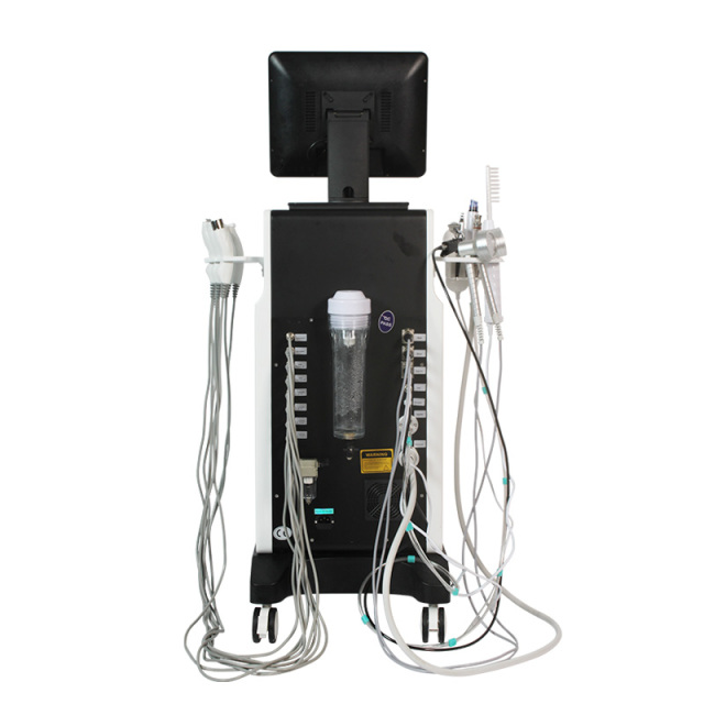 16 in 1 Spa Face Care Multi-functional Hydradermabrasion RF Beauty Equipment