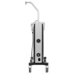 Vertical Fractional RF Microneedle Beauty Machine For Stretch Marks And Wrinkle Removal